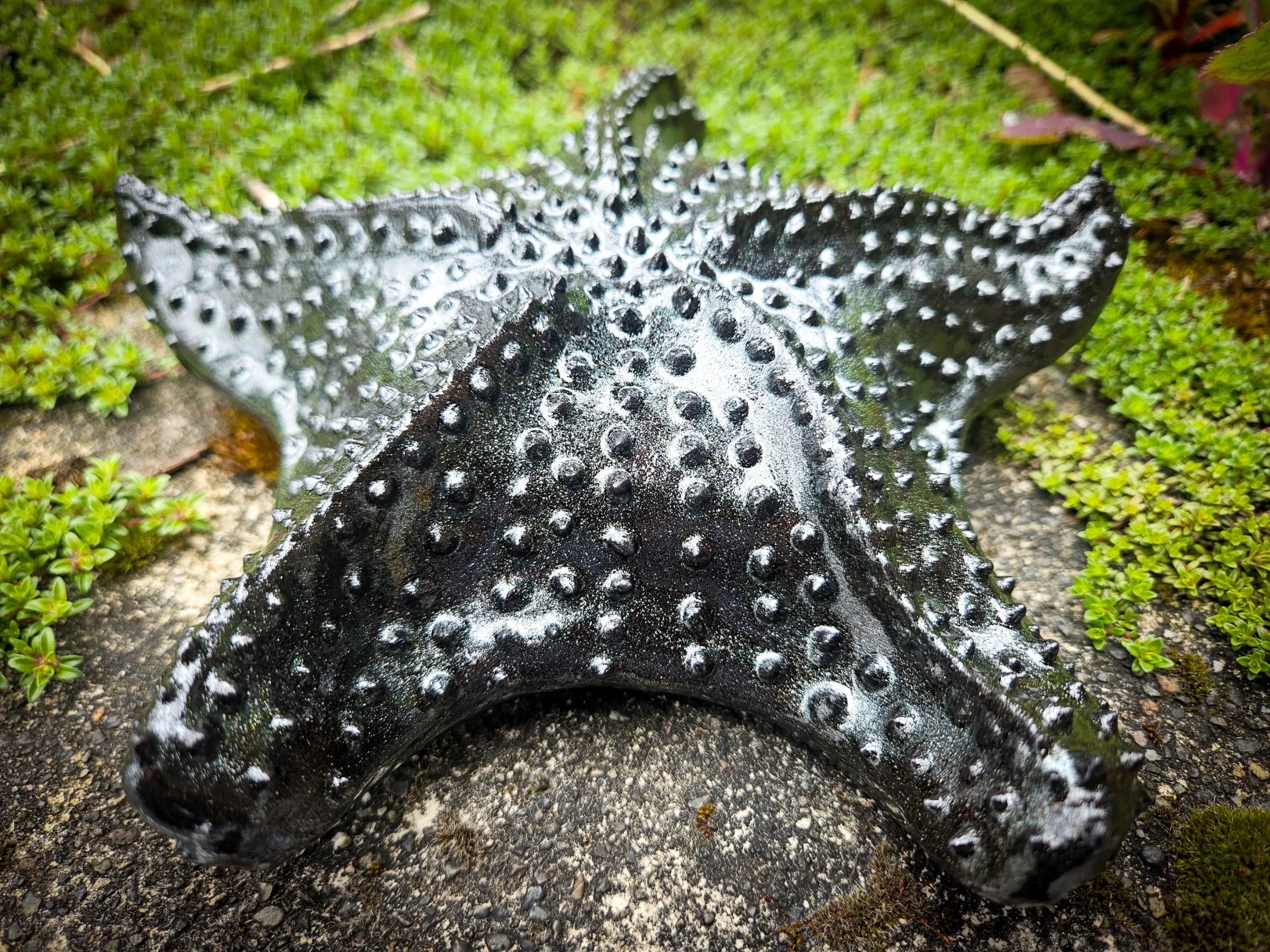 Starfish